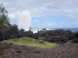 Visite de la petite cousine !